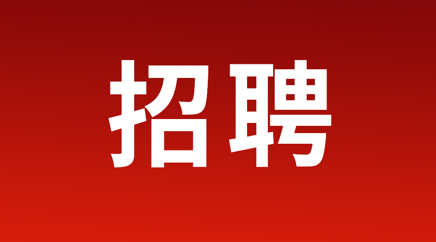 浙江省考试院2023年公开招聘人员公告