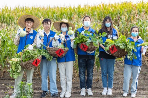 吉林大学师生开展田间秋收劳动。吉林大学党委宣传部供图